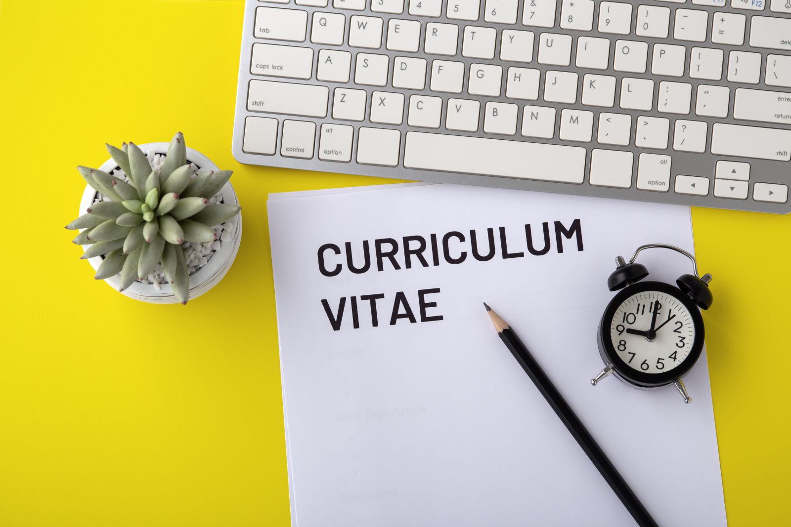 Tilbakemelding på CV og jobbsøknad
